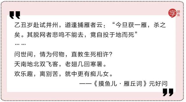 看不懂这些骚气的表白密码，我不配谈恋爱