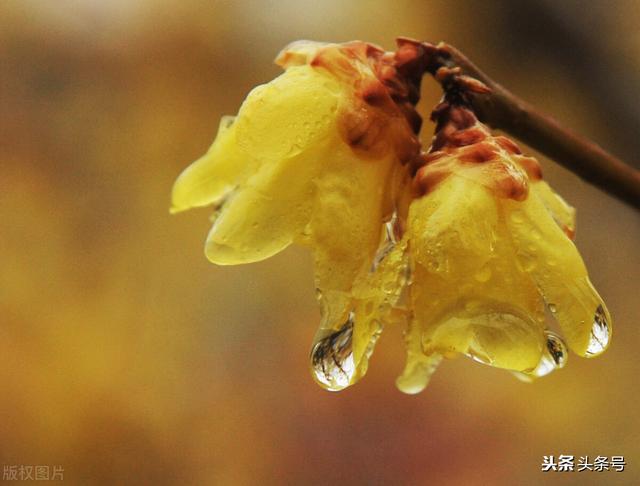 史上最全组合飞花令：季节＋天气（一）春＋天气