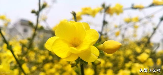 史上最全组合飞花令：季节＋天气（一）春＋天气