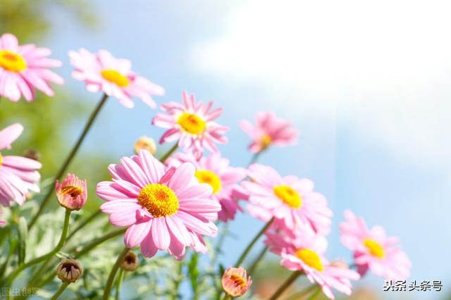 史上最全组合飞花令：季节＋天气（一）春＋天气