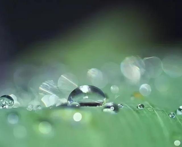 好雨知时节，当春乃发生：今日雨水，10首诗词道尽最美春日雨水