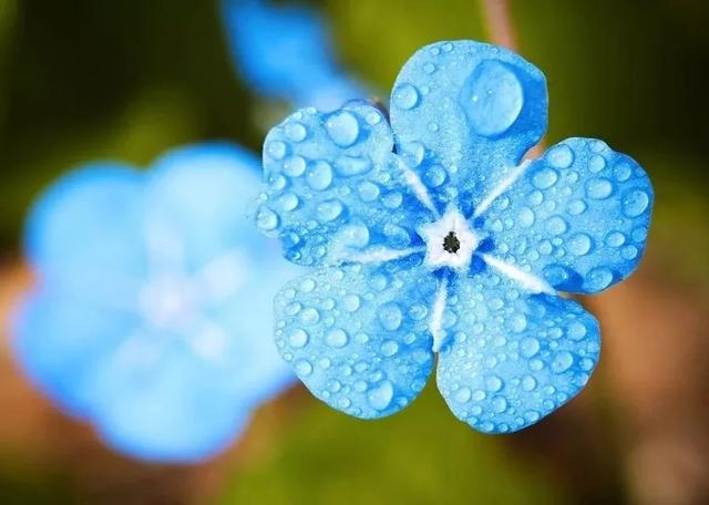 好雨知时节，当春乃发生：今日雨水，10首诗词道尽最美春日雨水