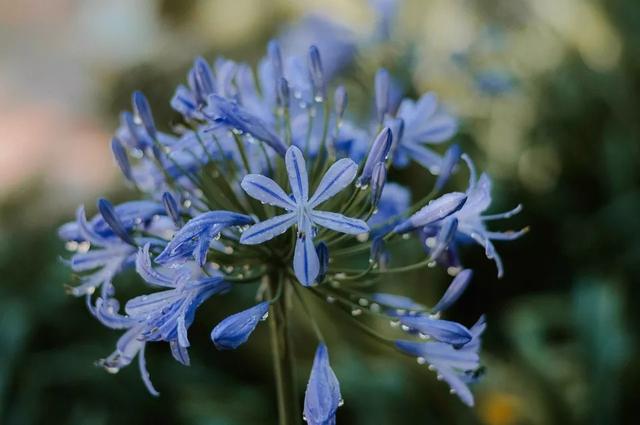 好雨知时节，当春乃发生：今日雨水，10首诗词道尽最美春日雨水