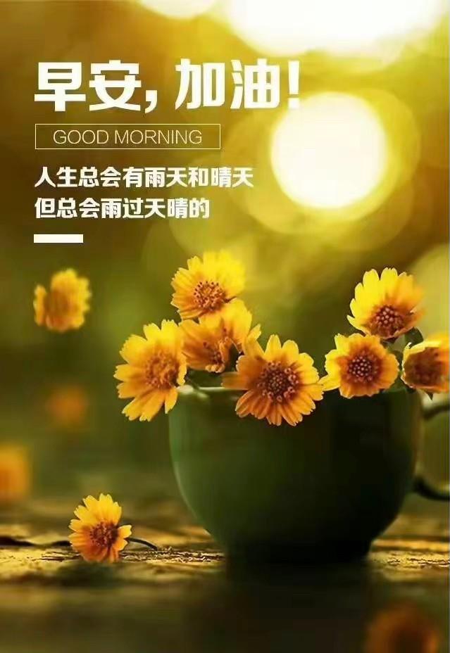 早安问候语 删除昨天的烦恼，开启今天的快乐