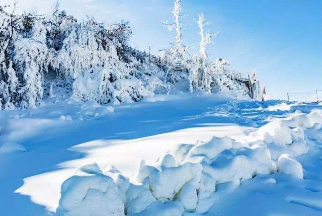 【诗词鉴赏】飞雪逗年华，十二首对雪的诗词，​让我们欣赏最美的雪