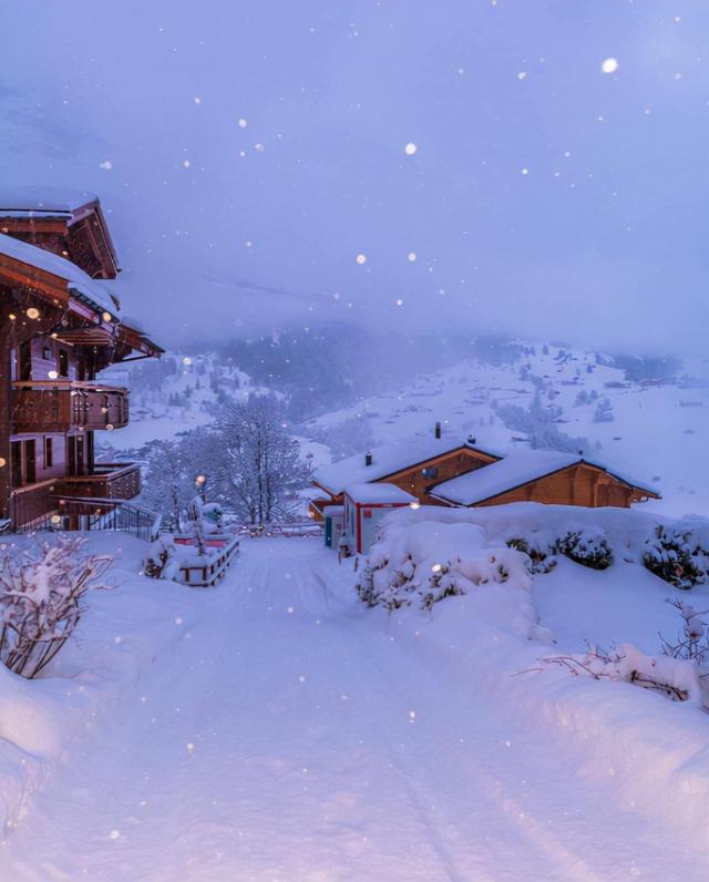 【诗词鉴赏】飞雪逗年华，十二首对雪的诗词，​让我们欣赏最美的雪