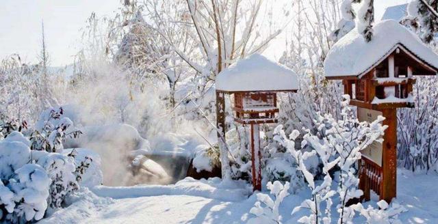 【诗词鉴赏】飞雪逗年华，十二首对雪的诗词，​让我们欣赏最美的雪