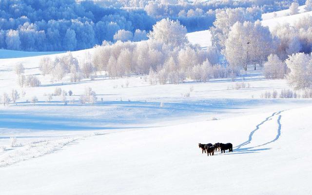 【诗词鉴赏】飞雪逗年华，十二首对雪的诗词，​让我们欣赏最美的雪