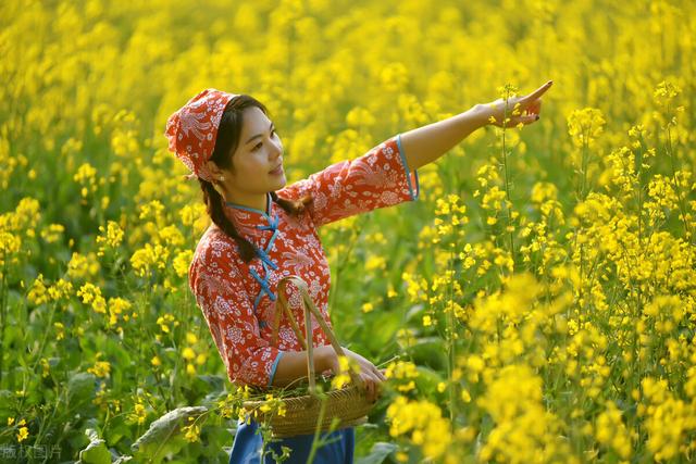 寒流：七律十首 | 美丽春天谁妆扮 油菜花开 | 精彩推荐