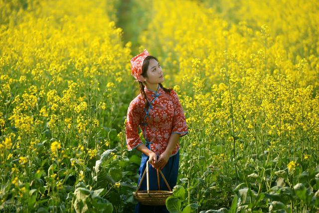 寒流：七律十首 | 美丽春天谁妆扮 油菜花开 | 精彩推荐