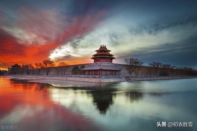 元旦诗词五首：一夜挽回天下春，百花富贵草精神