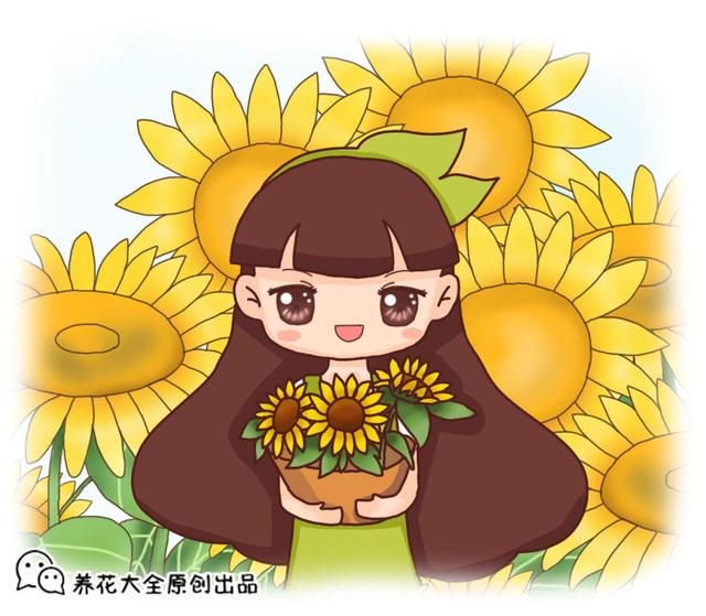 向日葵为什么总朝太阳开？原来都是因为怕光的它