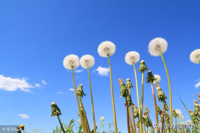 描写春天的比喻句、拟人句和排比句，为孩子收藏吧！