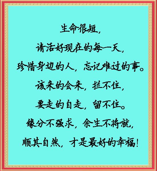 缘分不勉强，余生莫将就（句句入心）