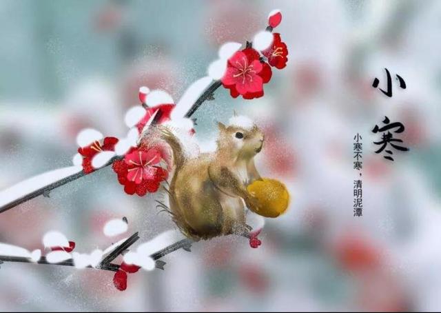 辛苦孤花破小寒，花心应似客心酸。26首有关“小寒”的经典诗词