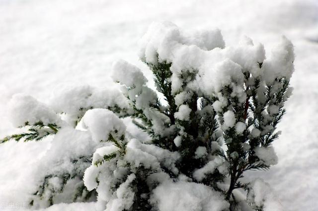 除夕再迎寒潮，连下3天，邋遢年来了？新年年景如何？农谚怎么说