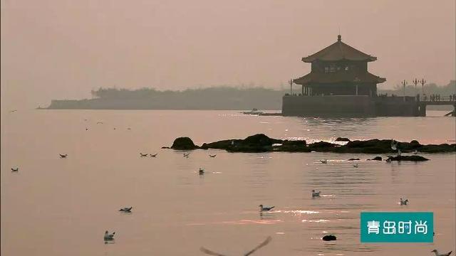 节气｜冬至 青岛人要如何在朋友圈晒饺子？