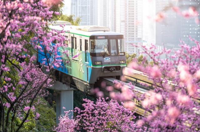 国内最美的7大海岛，风景不输夏威夷，你去过几个？