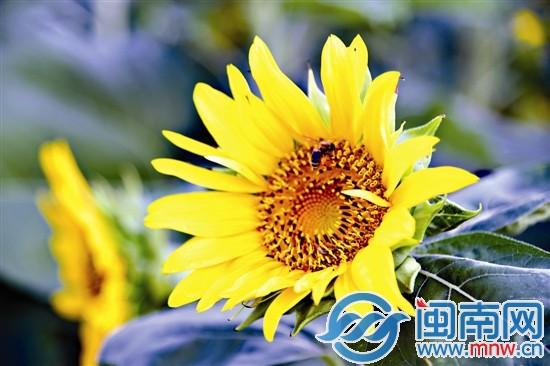 光棍节快乐祝福语 2019最新光棍节说说经典微信短信祝福问候