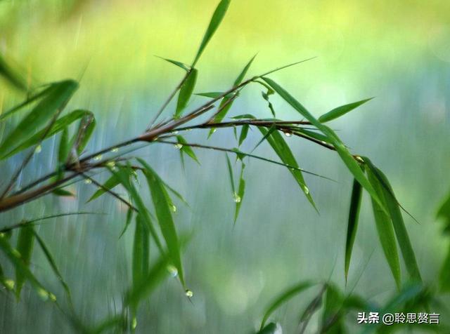 植树诗词精选一十八首 植树节，读前人种树诗