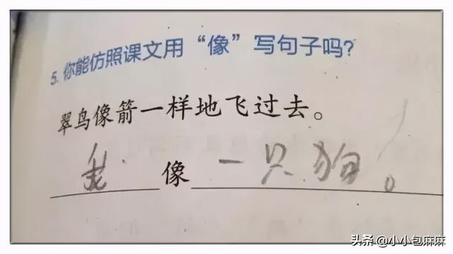 《小学生作业大赏》：老母亲被笑死的路上，没有一个孩子是无辜的