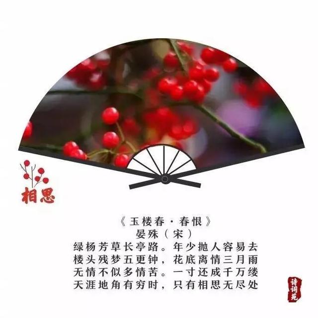 无一是你，无一不是你。诗词里的相思，唯美而深情，值得读一读