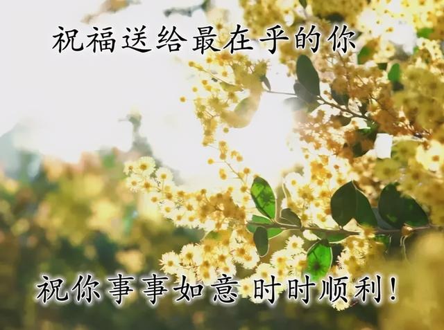 早安吉祥：做一个真诚的人，不放弃对生活的热爱和执着，早安