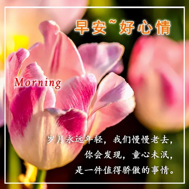 早安吉祥：做一个真诚的人，不放弃对生活的热爱和执着，早安