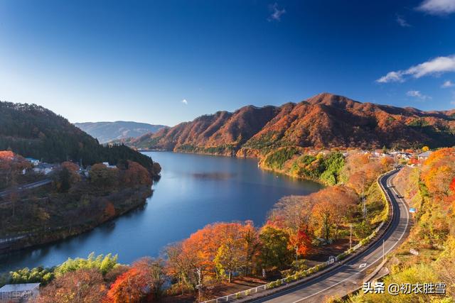 明快晴秋美诗五首：斜阳晒黄叶，白云同鹤飞