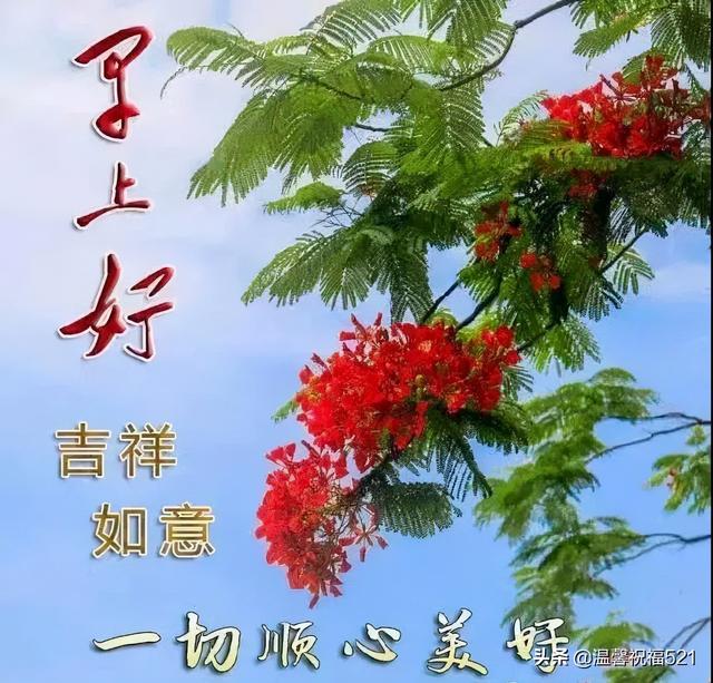 最新漂亮的早上好问候动态图带字 最美早上好问候祝福语