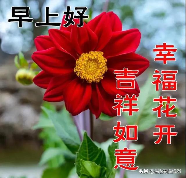 最新漂亮的早上好问候动态图带字 最美早上好问候祝福语