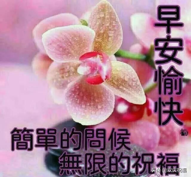 人生不可复制，凡事不求十分；万事不讲圆满，只要尽力就好，早安