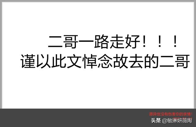 二哥一路走好——谨以此文悼念二哥，愿异世没有伤害你的亲情