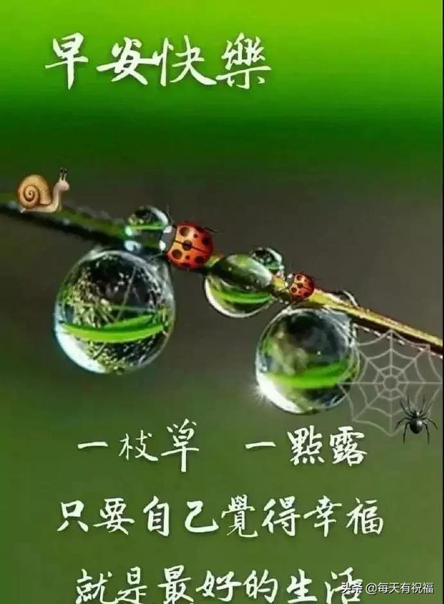 有创意的友谊早安祝福语带表情图片 温馨的友情早上好问候语大全