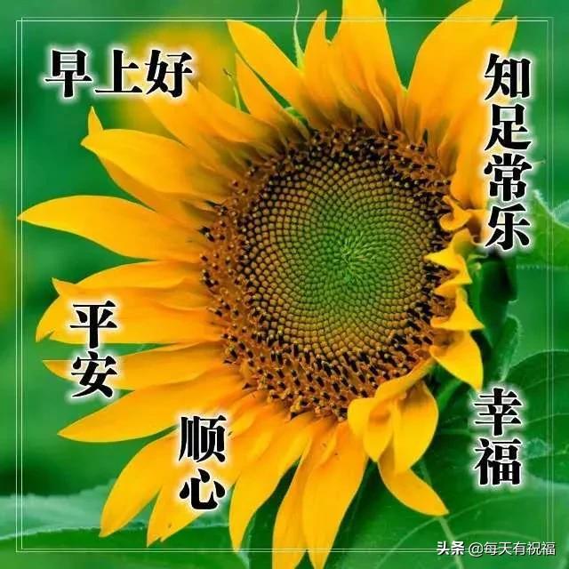 有创意的友谊早安祝福语带表情图片 温馨的友情早上好问候语大全