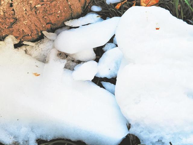 初雪映美景