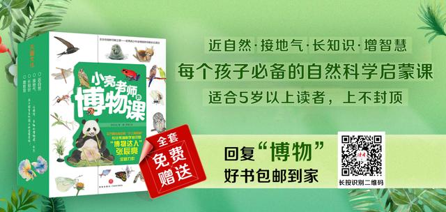 12条诙谐朋友圈文案，适度幽默，拒绝高冷