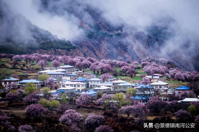 诗词｜九首村居诗词，最美不过田园生活