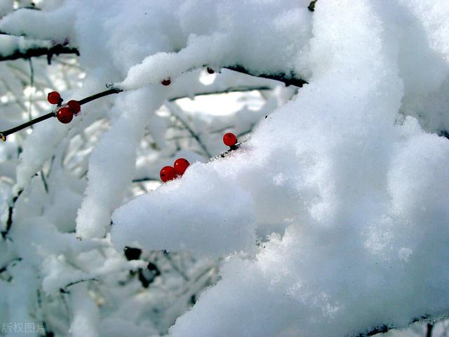 大雪节气就要到了，关于大雪的农村俗语有哪些？这些俗语有理吗？