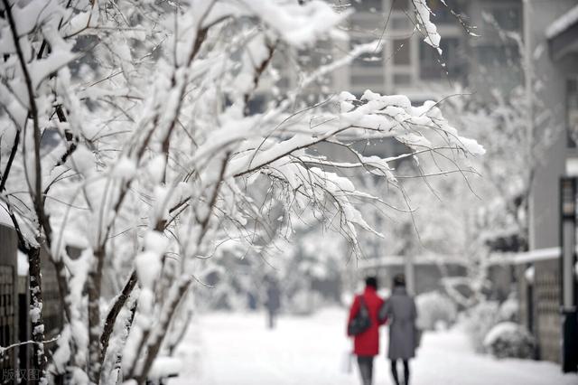 大雪节气就要到了，关于大雪的农村俗语有哪些？这些俗语有理吗？