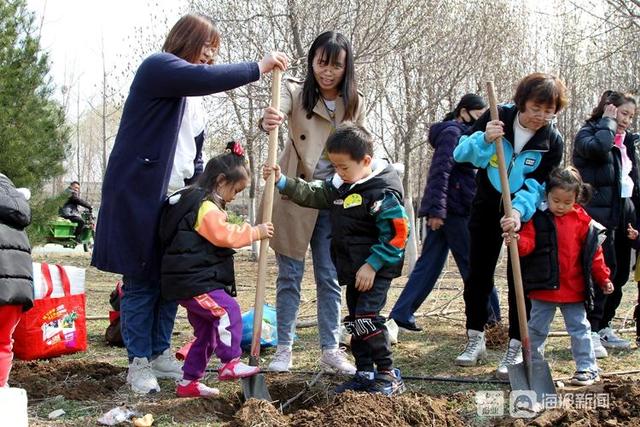 第43个植树节，济南幼儿园小朋友亲手种树见证生命的萌发