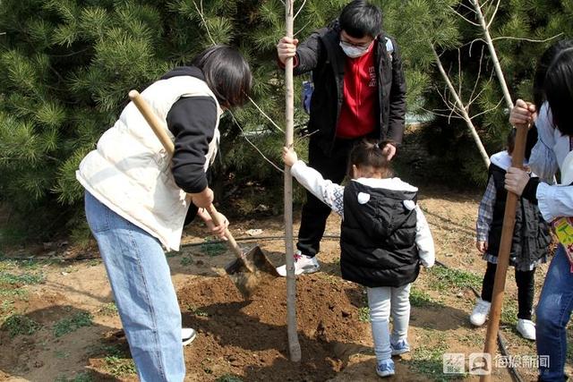 第43个植树节，济南幼儿园小朋友亲手种树见证生命的萌发