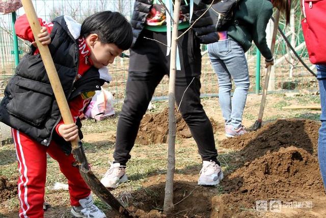 第43个植树节，济南幼儿园小朋友亲手种树见证生命的萌发