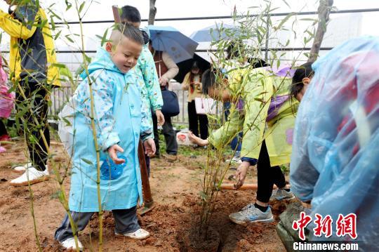 厦门植树节公益活动：小朋友为大熊猫种“口粮”