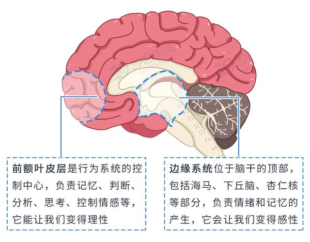 一到晚上就情绪低落的人，是怎么了？若你身边有，请给点关爱