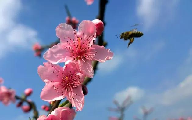 人生大彻大悟的短句：珍惜现在拥有的，努力去营造明天更美的生活