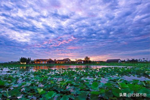 稚子牵衣问，归来何太迟。六首回家的著名唐诗，暖人心田