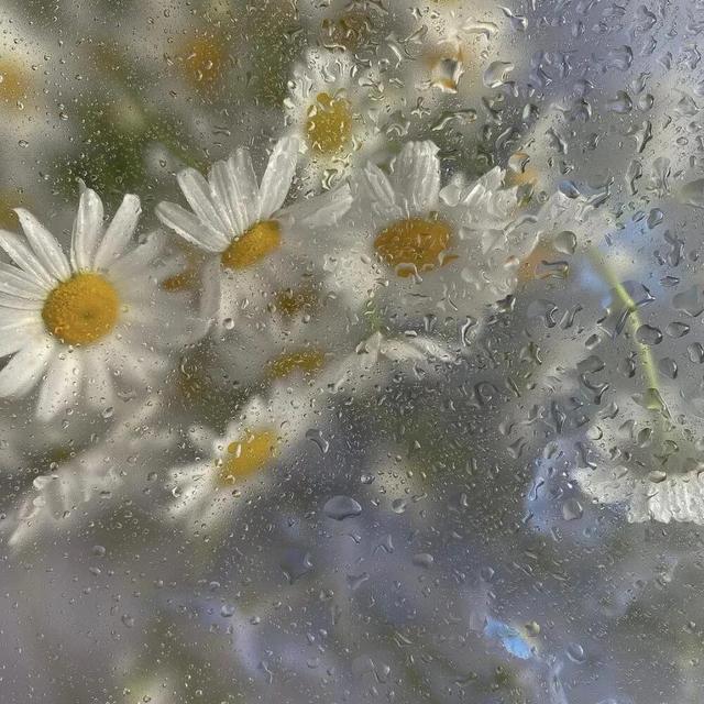 文案丨适合下雨天发朋友圈的雨天文案