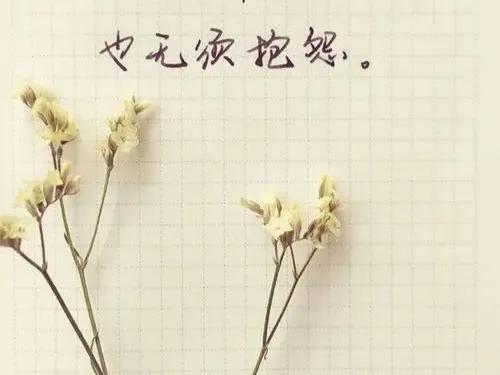 不要抱怨生活。努力做最好的自己