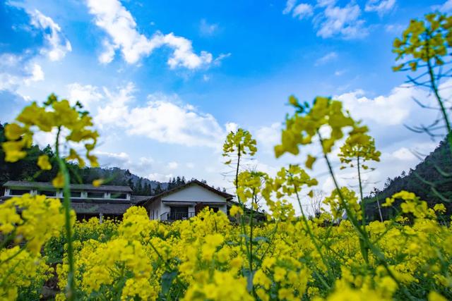 踏青四面山·诗般如画卷：游湖、闻香、观瀑、野趣、食味、好眠